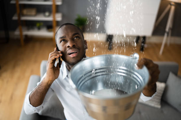 Best Residential water damage restoration  in Wamac, IN