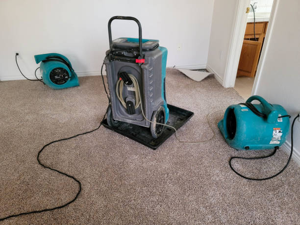 Best Mold removal after water damage  in Wamac, IN