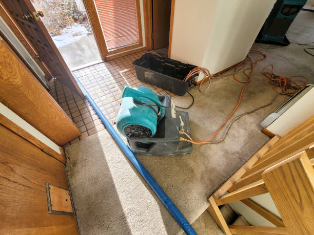 Best 24-hour water damage restoration  in Wamac, IN