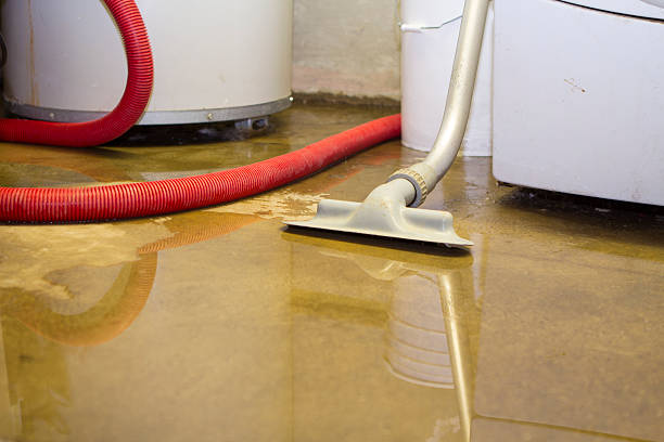 Best Water damage restoration process  in Wamac, IN