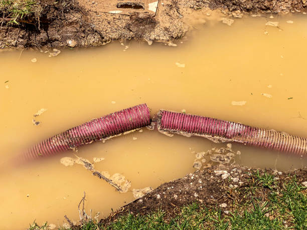 Best Emergency water damage restoration  in Wamac, IN